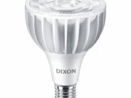FOCO PAR 30 DIXON 30W 3000lm E-27 6500K- 4000k-3000K
