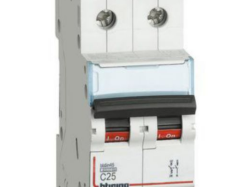 INTERRUPTOR TERMOMAGNÉTICO NEW BTDIN 2X25A, 10KA/220V.